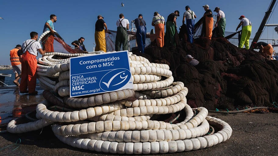 Iberian sardine fishers gathering nets on dock, with MSC logo board on ropes, Portugal