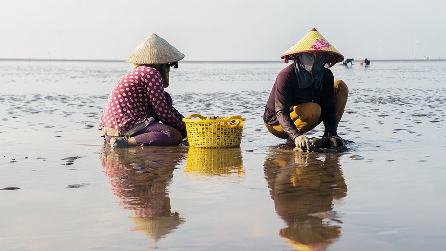 Two female clam gatherers crouching on mud flats with bucket, Ben Tre, Vietnam