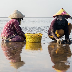 Hands-on approach makes this Vietnamese clam fishery a sustainable success