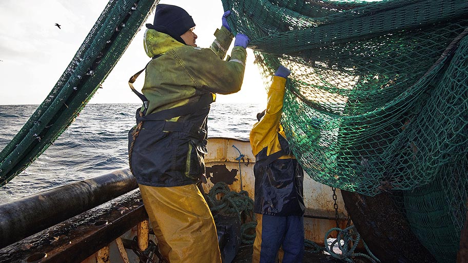 Two fishers hauling net from below on board vessel