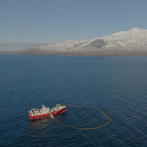 Atlanto-Scandian herring stock driven to critical levels as catches face steep cut by 44%