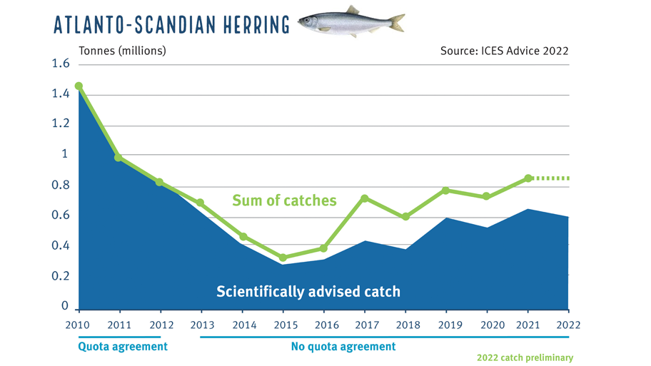 Graph showing fishing catch of Atlanto-Scandian herring exceeding scientifically advised limits