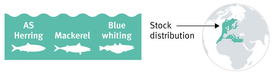 Infographic with species silhouettes: herring, mackerel and blue whiting and globe showing their distribution