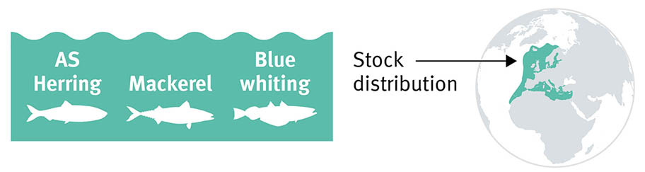 North East Atlantic pelagic fish stocks distribution Infographic with species silhouettes: herring, mackerel and blue whiting and globe showing their distribution