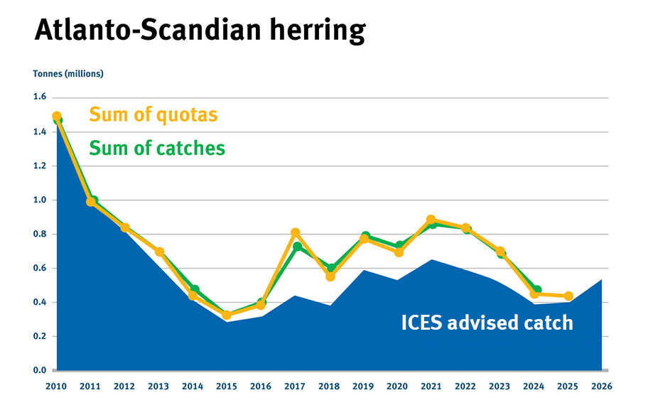 NEA_Graphics_AS Herring Catch North East Atlantic Atlanto Scandian herring catch vs advice graph