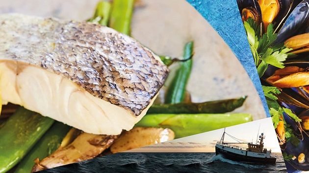 Scale to Tail A sustainable cookbook for Australian seafood