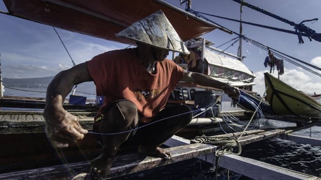 Découvrez l'intégralité des projets financés par le Fonds d'Appui pour la Pêche Durable du MSC
