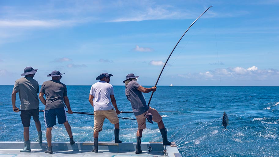 Maldives pole and line skipjack tuna fishing