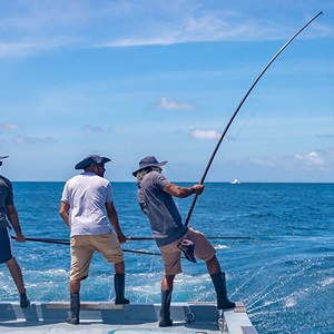 Impact on Communities