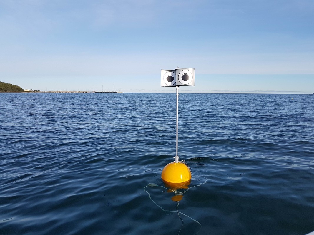 a looming eyes buoy bobbing in the water to deter seabirds