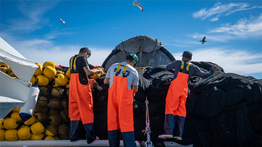 Backs of three fishermen in orange overalls on vessel deck hauling large nets, with three gulls circling in blue sky above