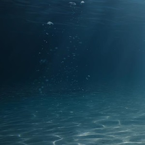 What is Overfishing?
