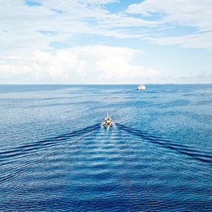 Breakthrough agreement safeguards key tuna stocks