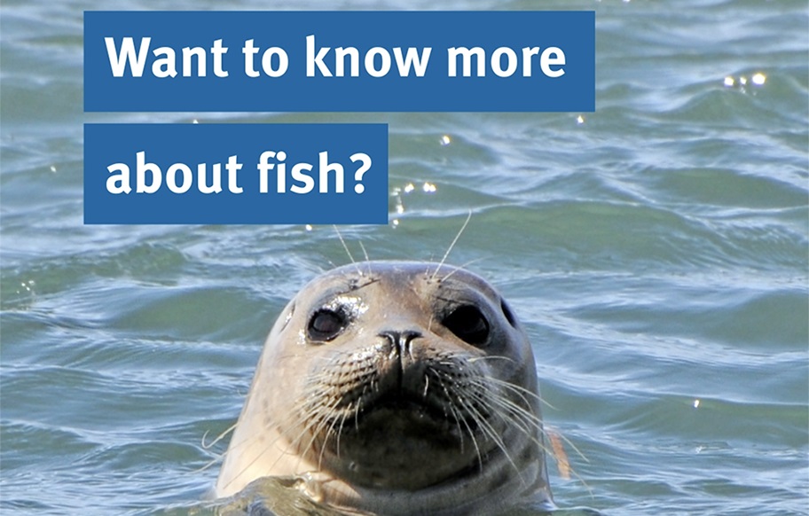 A seal pops its head out of the water. Text: Want to know more about fish?