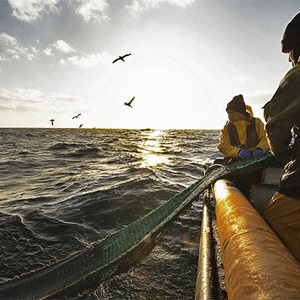 Sustainable Scotland