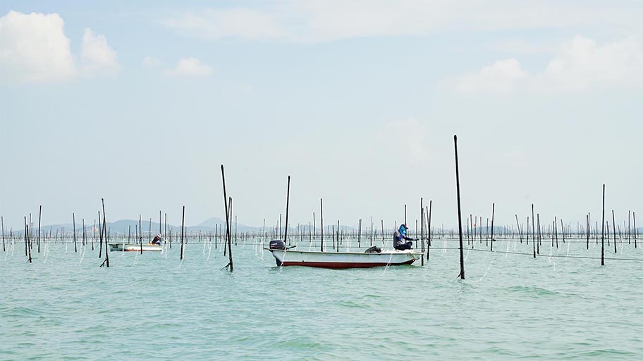 Two small single person boats in the middle distance on calm water between wooden poles