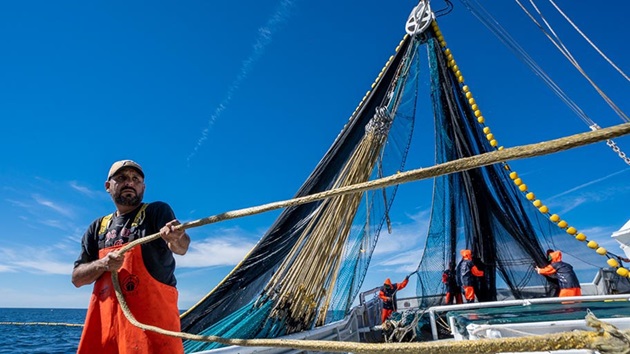 Los impactos socioeconómicos de la certificación