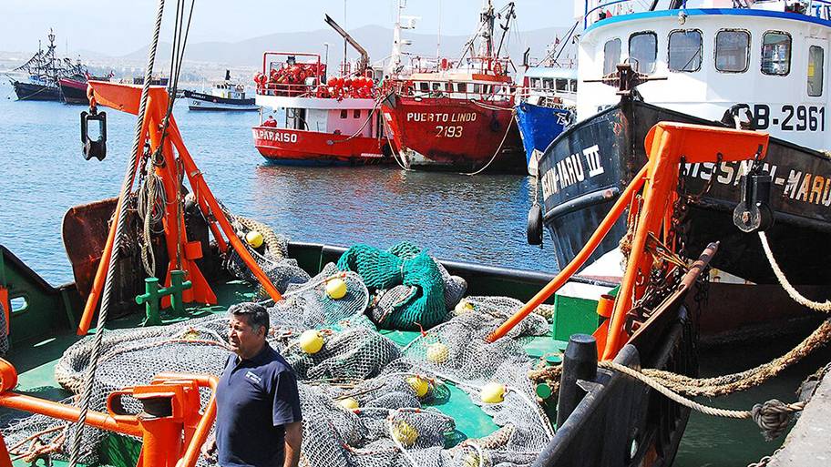 A few ships on a dock with lobster caught in fishing nets.