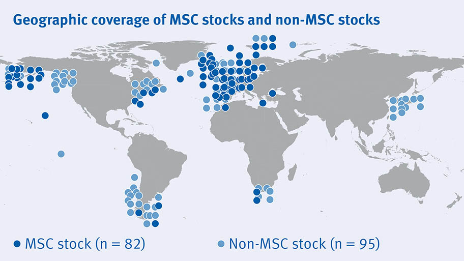 Map showing MSC and non-MSC stocks