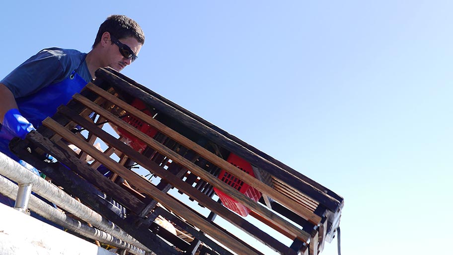 Man in sunglasses hauling wooden lobster pot onto side of boat