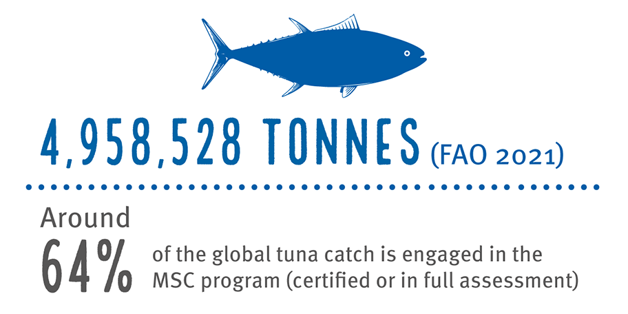 Graphic showing global tonnage of tuna catch 2020: 5056691 tonnes, and percentage MSC certified: 58%
