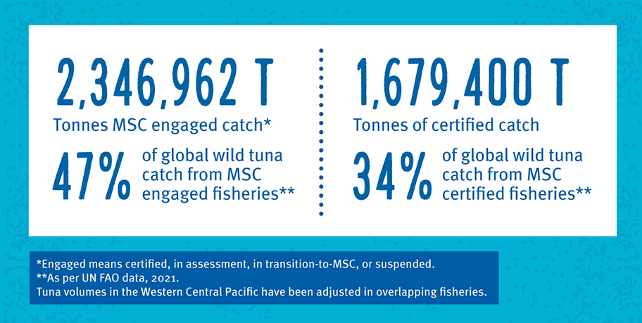 MSC engaged and certified as percentages of global wild tuna catch