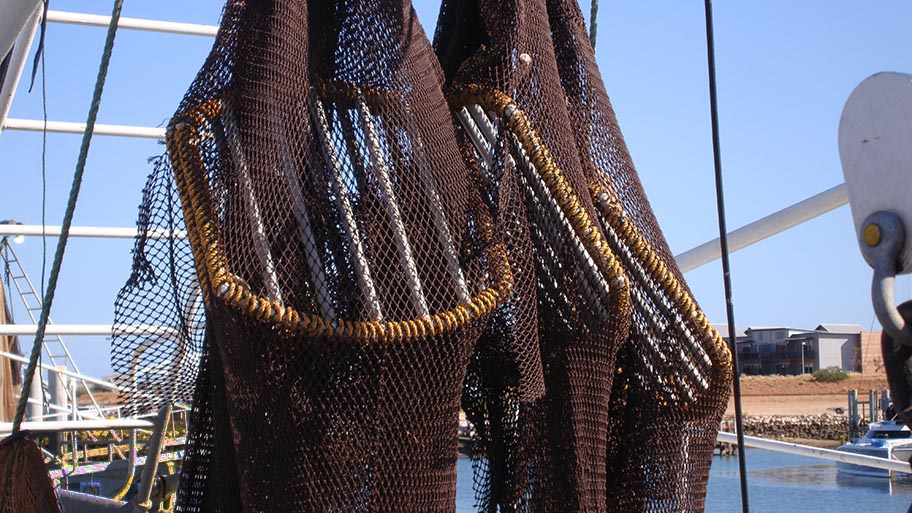 Close-up of hanging nets with bars for turtle exclusion