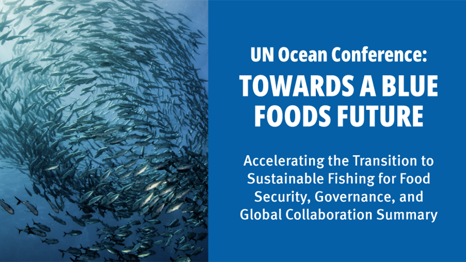 UN Ocean onference Towards a Blue Foods Future UN Ocean Conference banner with swirling school of fish and text: Towards a Blue Foods Future