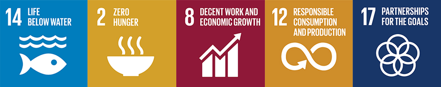 Icons for five United Nations Sustainable Development Goals: Life Below Water, Zero Hunger, Decent Work, Responsible Consumption and Partnership for the goals