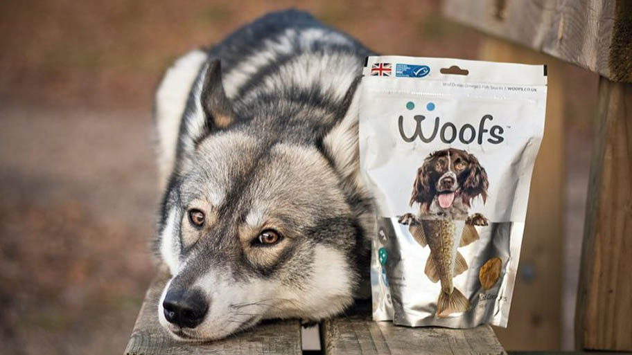 Large dog lying on wooden bench with sachet of Woofs brand dog food