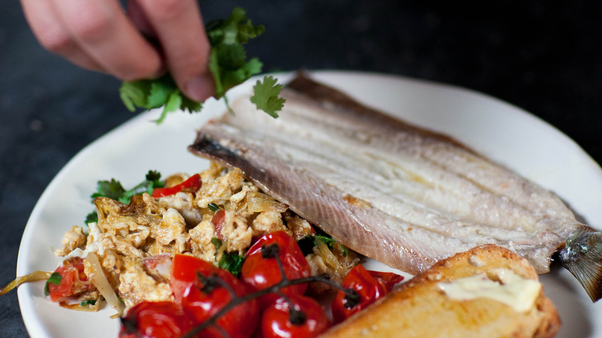 What is herring | Sustainable fish | Marine Stewardship Council