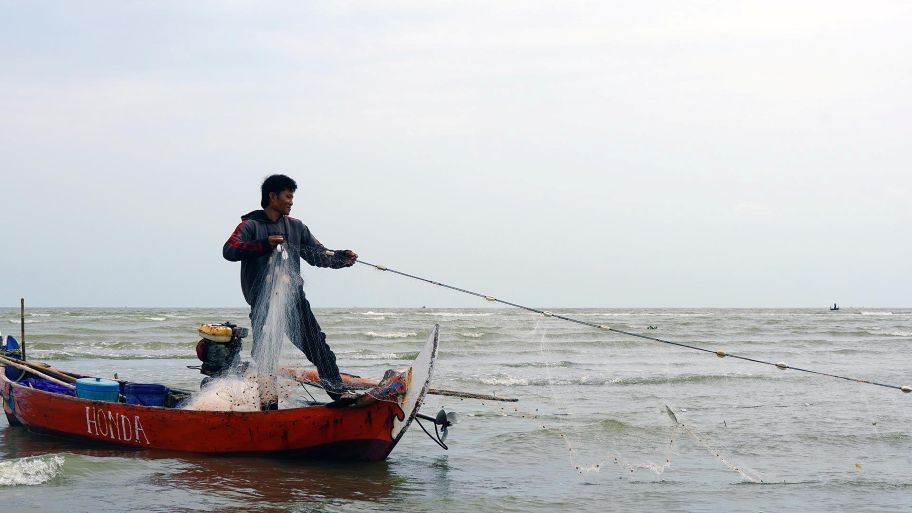 Indonesia Central Java Prawn Fishery in the MSC Improvement Program