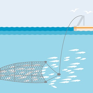 Fishing methods and gear types