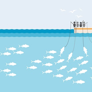 Fishing gear types