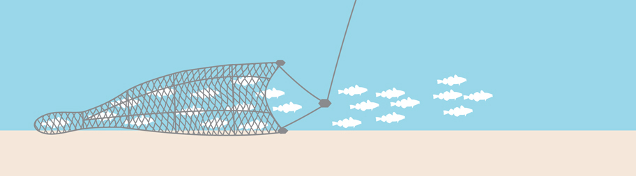 Illustration of bottom trawl