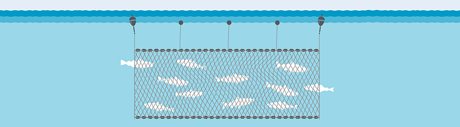 Illustration of gillnet fishing gear