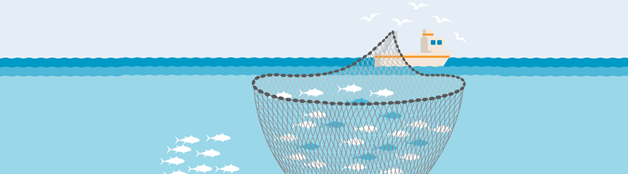 Purse Seine fishing gear illustration
