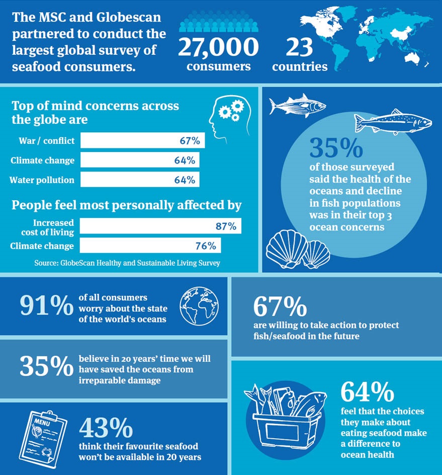Infographic: Consumer perceptions 2024 - Key facts
