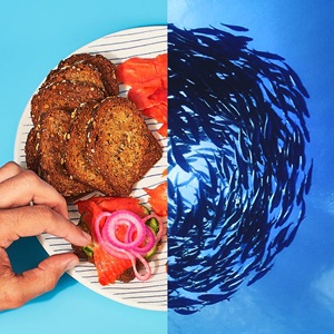 Ocean Cookbook