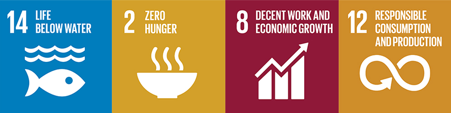 4 UN Sustainable Development Goals Icons for United Nations Sustainable Development goals 14 - Life below Water, 2 - Zero Hunger, 8 - Decent work, and 12 - Responsible consumption