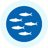 Fish shoal icon
