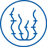 icon for ASC-MSC Seaweed Standard