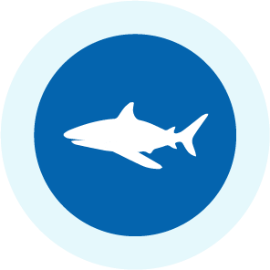 Tuna fishery works to reduce bycatch