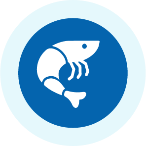 Une pêcherie de crevette nordique utilise des lumières LED sur les filets