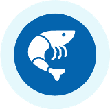 Shrimp icon