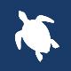 White silhouette icon of a turtle on blue background