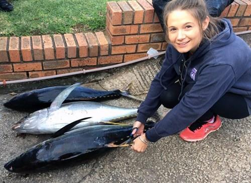 Three tuna fish on ground with woman cutting samples from fins