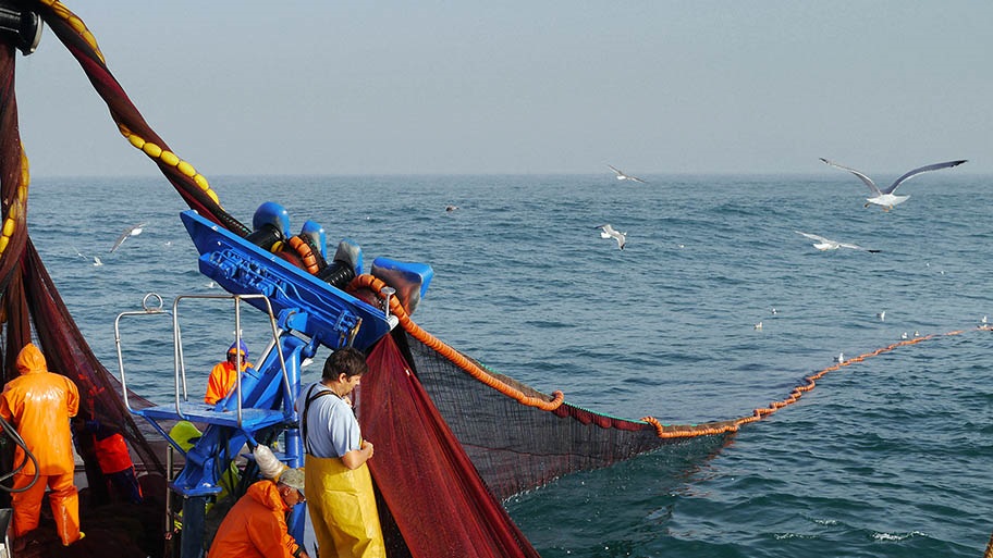 Iberian sardine fishers standing on trawler boat with birds flying overhead