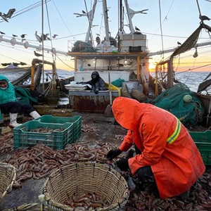 Was ist nachhaltige Fischerei?