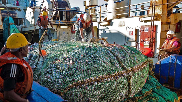 South African hake trawl: Trialling innovative technologies